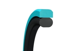 Piston Seals
