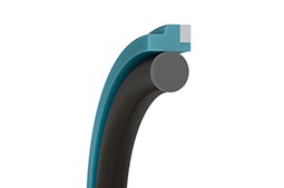 Turcon® Stepseal® CR