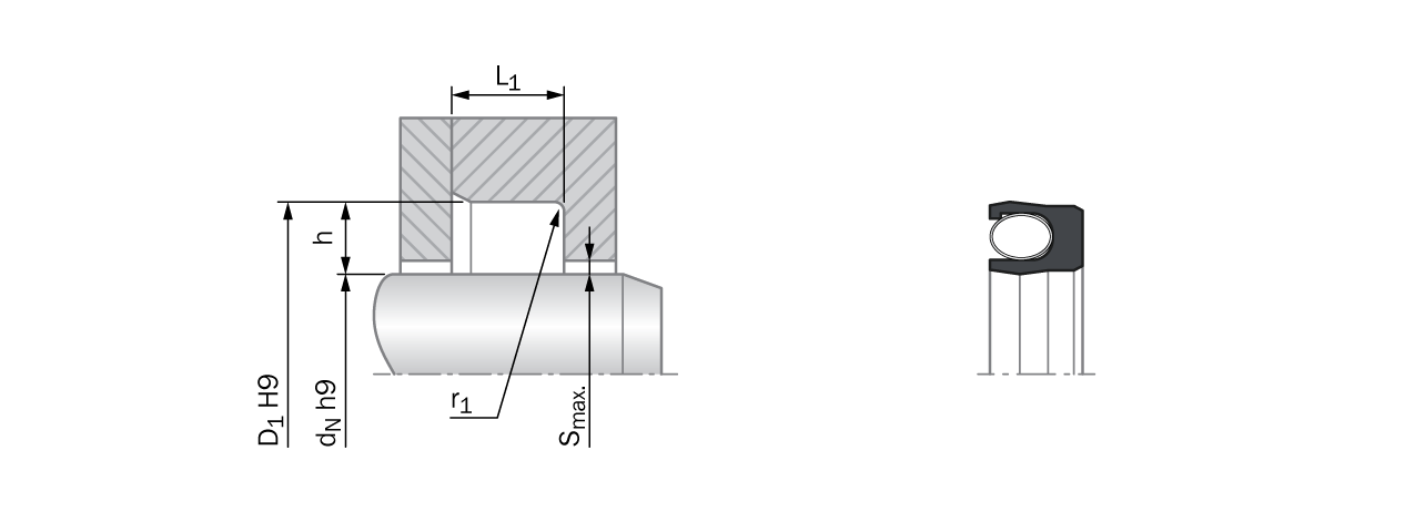 Turcon® Variseal® W2S